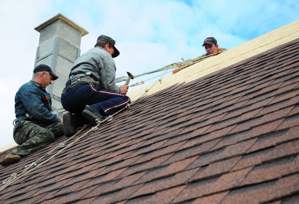 Quick and Trustworthy Emergency Roof Repair Services in Grandwood Park, IL